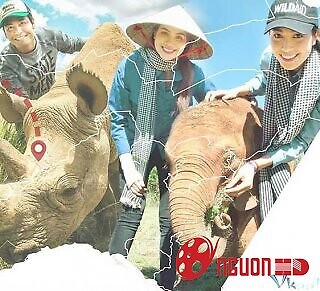 Sự Biến Mất Của Những Gã Khổng Lồ