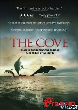 The Cove