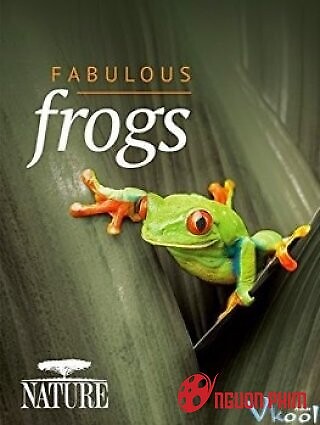 Thế Giới Loài Ếch