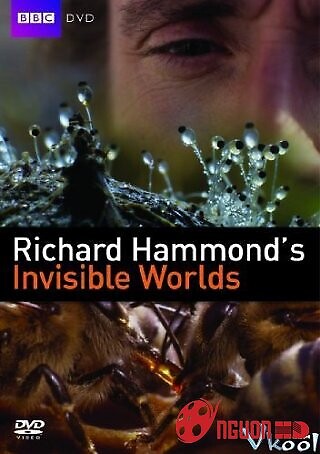 Thế Giới Vô Hình