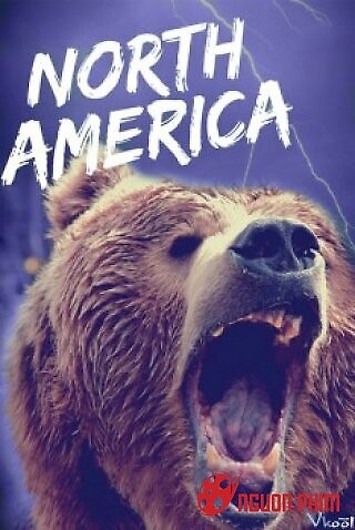 Thiên Nhiên Hoang Dã Bắc Mỹ