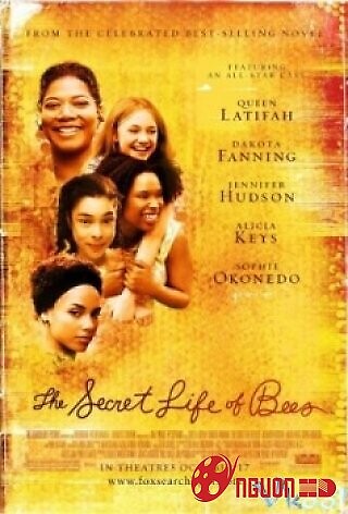 Tìm Lại Yêu Thương