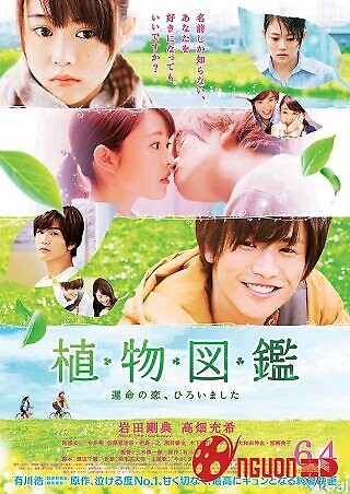 Tình Yêu Định Mệnh Chợt Đến