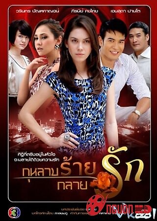 Tình Yêu Hoa Hồng Đen