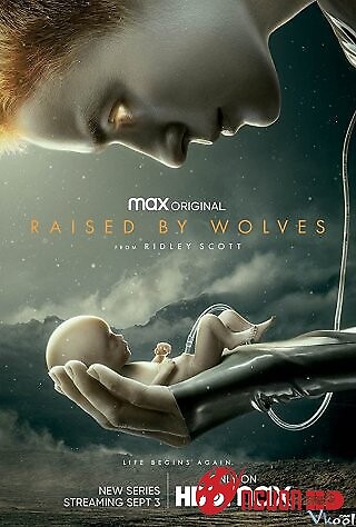 Trong Vòng Tay Sói 1