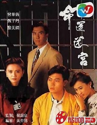 Vận Mệnh Mê Cung