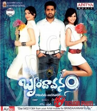 Vẻ Đẹp Quyến Rũ