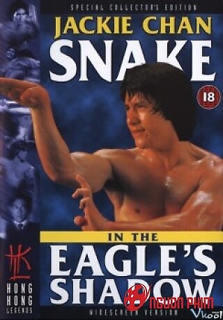 Xà Hạc Thần Quyền