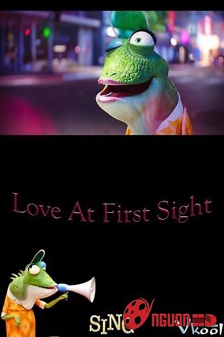 Yêu Từ Cái Nhìn Đầu Tiên