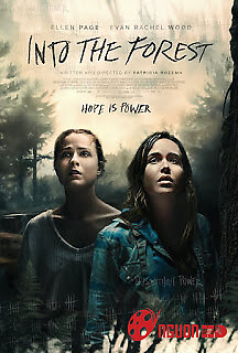 Bên Trong Khu Rừng