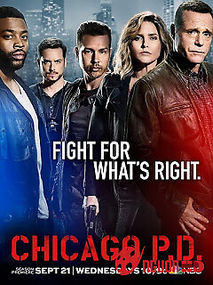 Cảnh Sát Chicago Phần 4