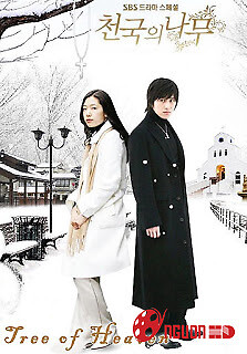 Cây Thông Thiên Đường