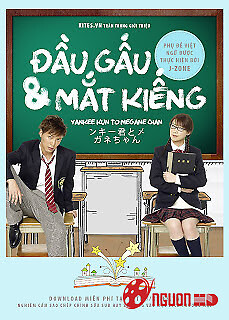 Đầu Gấu Và Mắt Kính