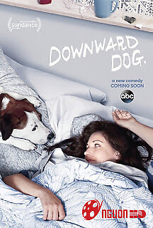 Góc Nhìn Của Chó