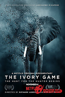 Kẻ Trộm Ngà Voi