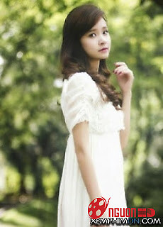 Những Cánh Hoa Trước Gió