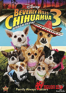 Những Chú Chó Chihuahua Ở Đồi Beverly 3
