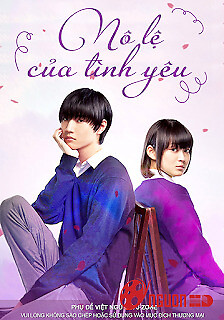 Nô Lệ Của Tình Yêu