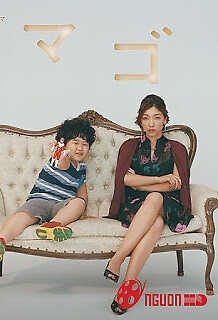 Trò Chơi Gia Đình