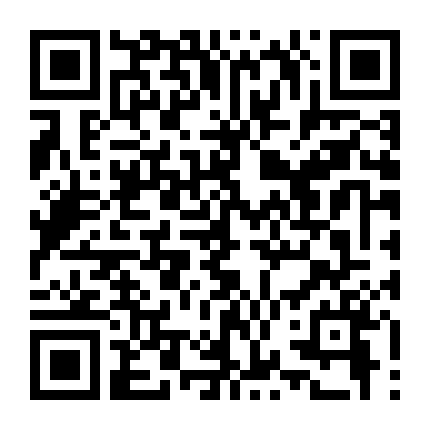 Biệt Đội Hawaii 4