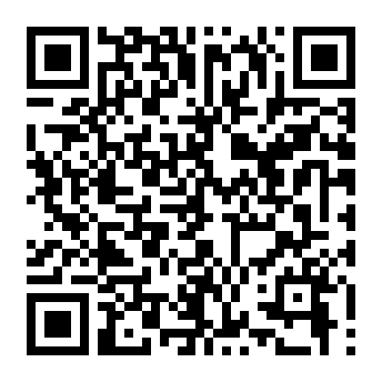 Biệt Đội Hawaii 2