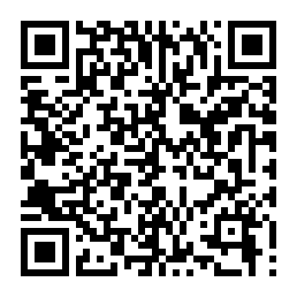 Biệt Đội Hawaii 1