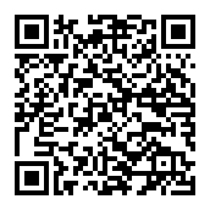 Theo Chân Shawn Mendes