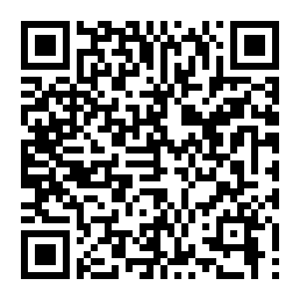 Biệt Đội Hawaii 5