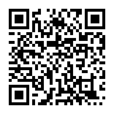 Anh Chàng Lắp Mạng