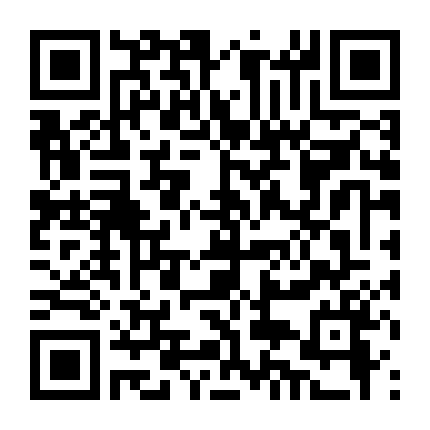 Nữ Y Minh Phi Truyện