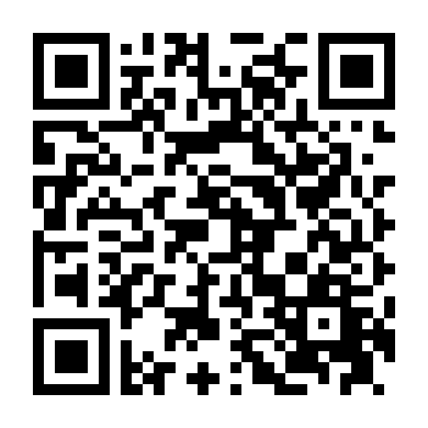 Điệp Viên Wiesler