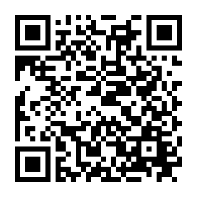 The Lady Shogun And Her Men