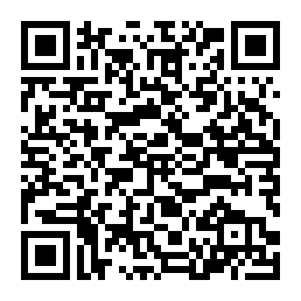 Thảm Họa Máy Bay 3