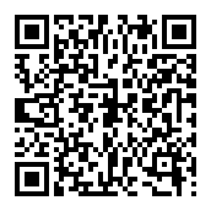 Khi Đàn Sếu Bay Qua