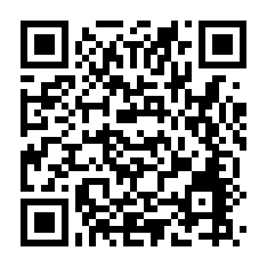 Con Đường Súng Đạn