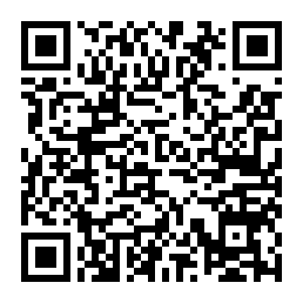 Quý Cô Và Chàng Ngoại Giao