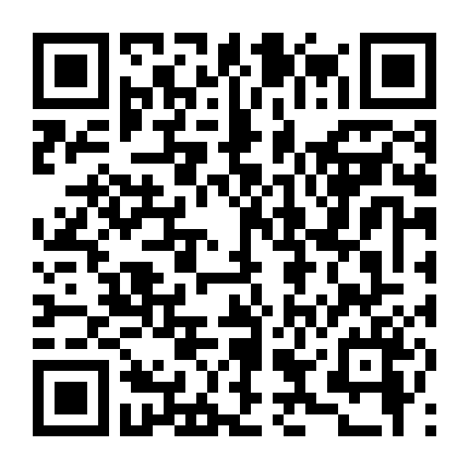 Đội Phá Án Thần Tốc 1