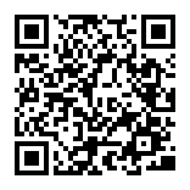 Tiểu Đội Vịt Trời