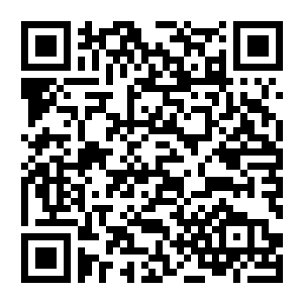 Những Đứa Con Biệt Động Sài Gòn