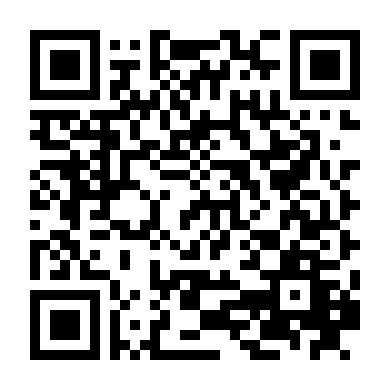 Chàng Cảnh Sát Singham 3