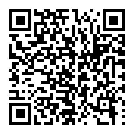 Người Dì Doanh Nhân