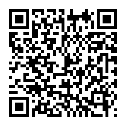 Qua Những Cây Ô Liu