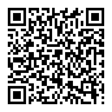 Chiến Đội Hải Tặc