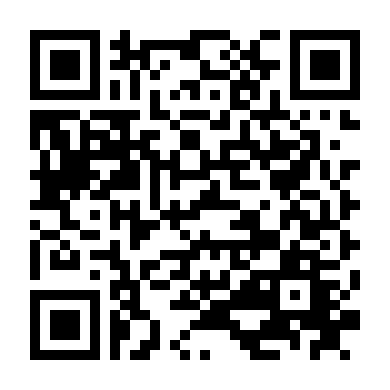 Đặc Vụ Áo Đen 3