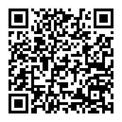 Vua Đường Phố 2 : Thành Phố Tốc Độ