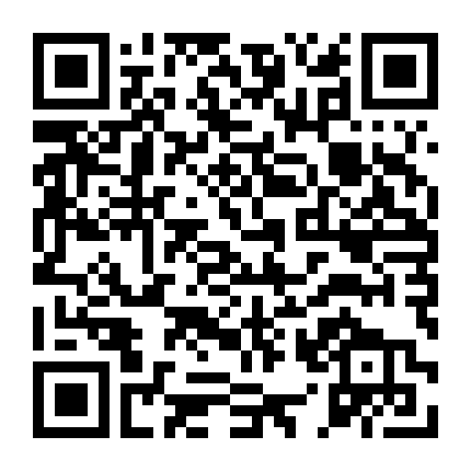 Nữ Điệp Viên 009