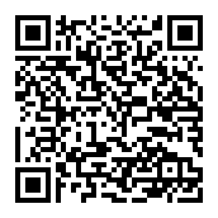 Đội Hành Động Liêm Chính 2016