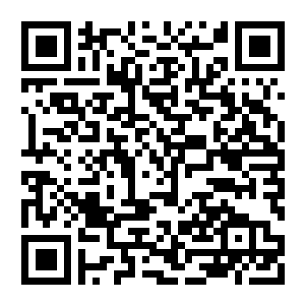 Đội Hành Động Liêm Chính 2009