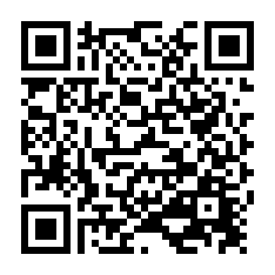 Đặc Vụ Áo Đen 2