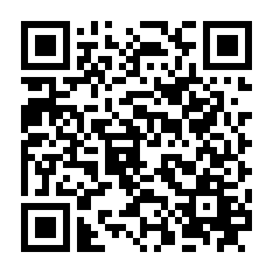 Nữ Cảnh Sát Chìm